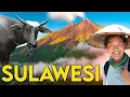 Download Lagu SULAWESI 30 DAYS - Indonesia's Mysterious Island 🇮🇩