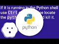 Stopping python using ctrl c