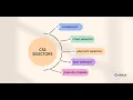 Css Selectors part - Style Development