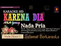 Download Lagu Karaoke Karena Dia - AKA group (Ver. Eka Pratiwi Electone) nada pria C || Karaoke HD.