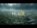 Download Lagu Peaceful Guitar for Stress Relief, work and study