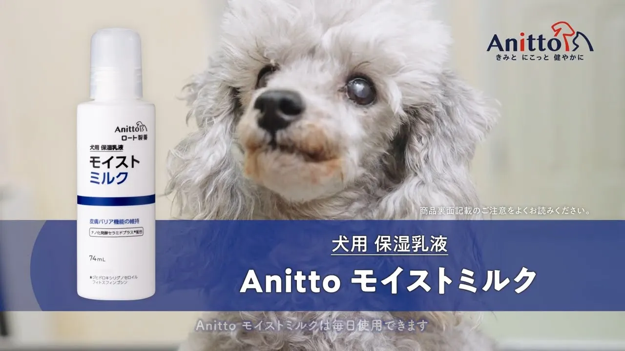 ペット商品使い方動画事例 / ミスト