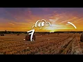 Willie Nelson - Oh What A Beautiful World (Lyrics)