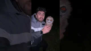 غابه الرعب المسكونه 