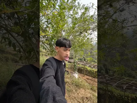 Part 2 Main ke kebun orang tua istri, sekalian metik buah untuk dirujak