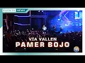 Download Lagu VIA VALLEN - PAMER BOJO (GEBYAR KORSA PKT 2023)