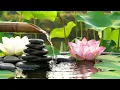 Download Lagu Flowing Water \u0026 Balinese Bell Deep Relaxation \u0026 Meditation II Harmony Vibes