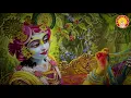 Govinda Damodara Madhaveti ~ Swami BV Muni Maharaj