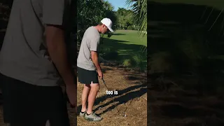 Scottie Scheffler s secret for escaping the pine straw