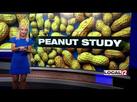 Study: Eating nuts could be good for brain health