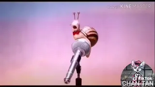 اغنية امازيغية مضحكة 