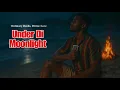 Download Lagu Under Di Moonlight | STEDINE | (Official Audio 2025)
