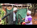 Download Lagu Baba Mejuri musadaroba