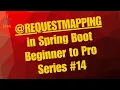 RequestMapping in Spring Boot Beginner to Pro Series