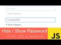 Toggle Password Visibility Using JavaScript Password
