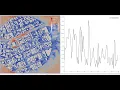 extracting transient probe data from Paraview