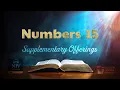 The Book of Numbers Chapter 15 Supplementary Offerings NIV Bible