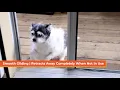 Genius COOL Retractable Screen Door For Single Door Easy Installation In 30 Minutes Or Less