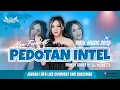Lagu FUNKOT - PEDOTAN INTEL COVER DJ YOUNEETA