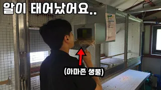 망할 뻔했던 30대 사장님… 결국 성공했는데 생물이 미쳤습니다..※심쿵주의※