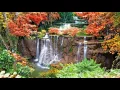 David Ramen - Amour en Or