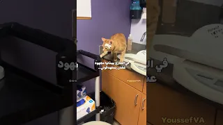 العصافير مش سايباني في حالي حتى عند الدكتور    دندنها