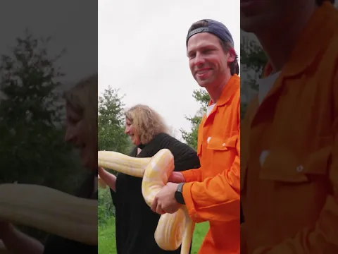Er LIGT een SLANG in de BUS bij GIEL en STEFAN?! 🐍 #stuktv #jachtseizoen #slang #bus #bang #humor