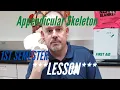Appendicular SKELETON Lesson First Semester