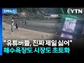 Download Lagu [자막뉴스] 놀러온 손님들도 '당황'…\