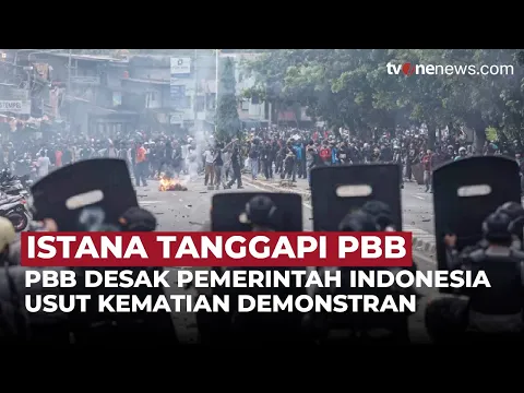 Tanggapan Istana Soal PBB yang Mendesak Untuk Mengusut Kematian Demonstran