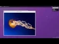 OS js - Search Engine