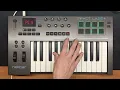 ICE CUBE - GHETTO BIRD (cover)