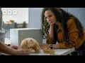 Download Lagu Proof that Homo sapiens bred with Neanderthals | Human - BBC