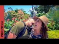 Download Lagu Surabaya, INDONESIË: De stad van helden 🦈🐊 | Java-eiland