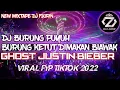 Download Lagu DJ BURUNG PUYUH BURUNG KETUT DIMAKAN BIAWAK X GHOST JUSTIN BIEBER VIRAL FYP TIKTOK 2022