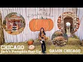 Jack s Pumpkin Pop Up and Okonomiyaki at Gaijin Chicago