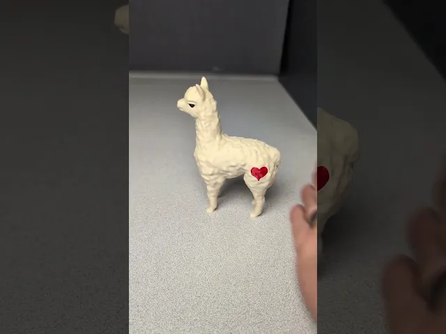 Love Llamas - Kissing Alpacas video thumbnail