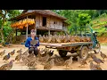 Download Lagu TIMELAPSE -- Harvesting 150 Quails of 1000Kg Quails, Use Truck Transport Quails, Go to Market Sell