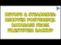 DevOps SysAdmins Recover PostgreSQL database from filesystem backup