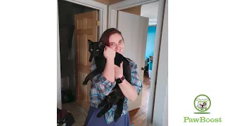 Kiara s Happy Tail