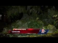 Storm brings down trees in Concord
