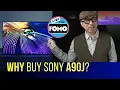 2021 Sony A90J or Cheaper OLED TV Pricey R Perfection