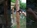 Download Lagu How to combine round with square | Rural eco-construction #woodworking #villagelife
