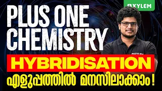 plus one chemistry hybridisation xylem plus one