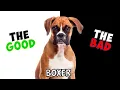 BOXER Dog - PROS CONS