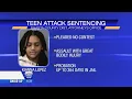 Shasta County teenager to appear in Shasta County Superior Court for sentencing in viral attack of