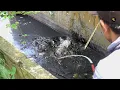 Download Lagu Sungguh keterlaluan ganasnya mancing ikan dispot ini #SG-435
