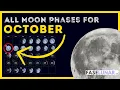 Moon phases in OCTOBER 2025 Day-by-day lunar calendar for OCTOBER