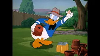 donald duck 