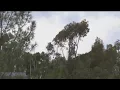 Wind rips through San Diego as the region is hit with morning rain